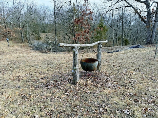 view of yard featuring a forest view