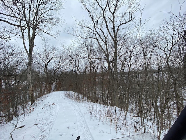 view of yard covered in snow