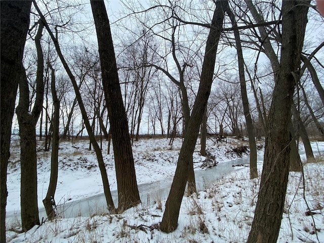 view of yard covered in snow