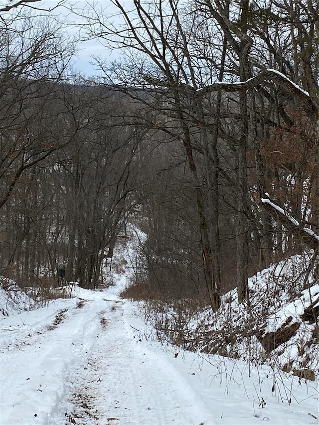 view of snow covered land