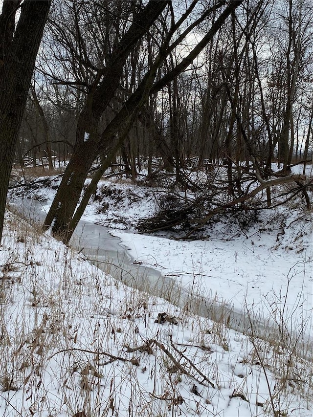 view of snow covered land