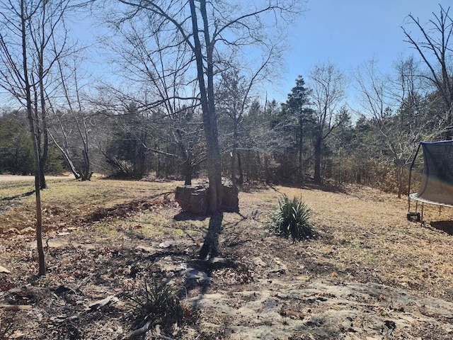 view of yard featuring a trampoline and a wooded view