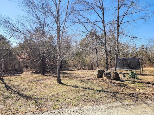 view of yard with a trampoline and a view of trees