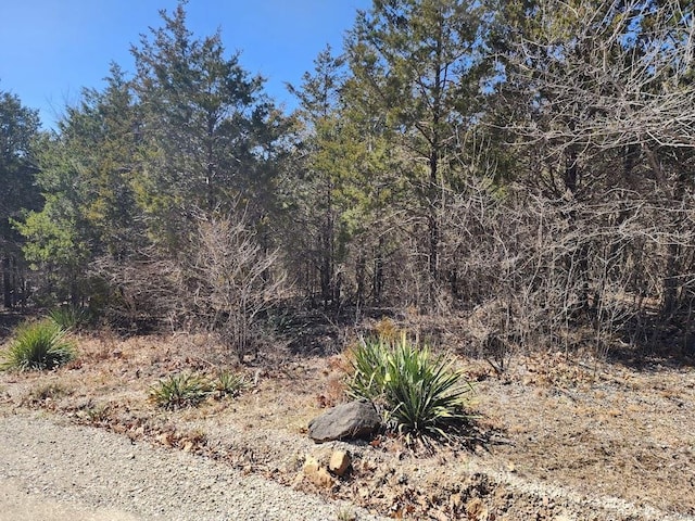 view of local wilderness