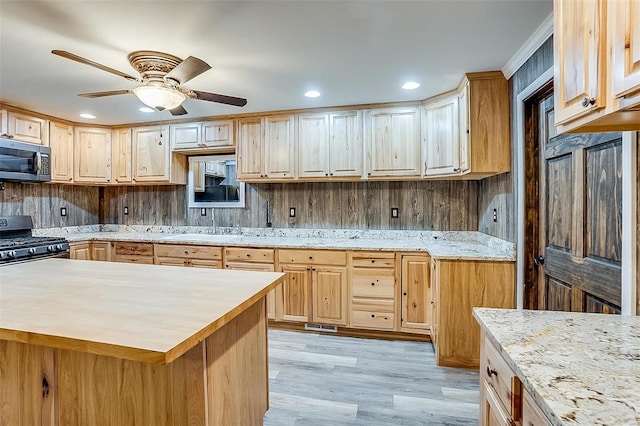 kitchen featuring recessed lighting, appliances with stainless steel finishes, light wood-style flooring, and ceiling fan