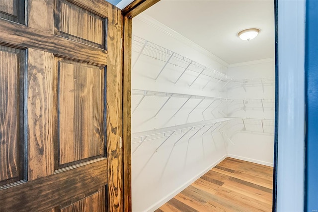 spacious closet featuring wood finished floors