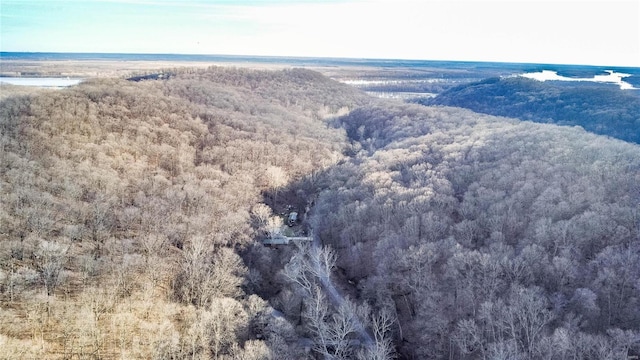 bird's eye view with a view of trees