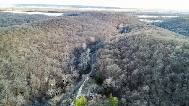 bird's eye view with a forest view