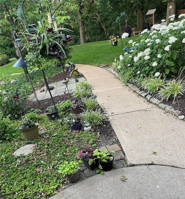 view of property's community featuring a yard