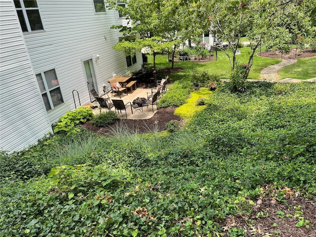 view of yard with a patio area