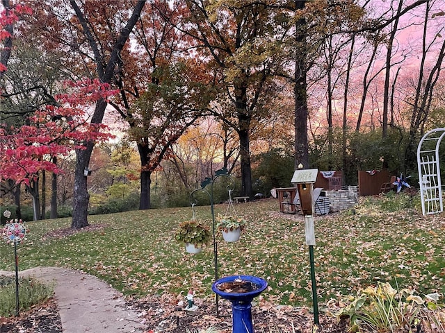 view of yard