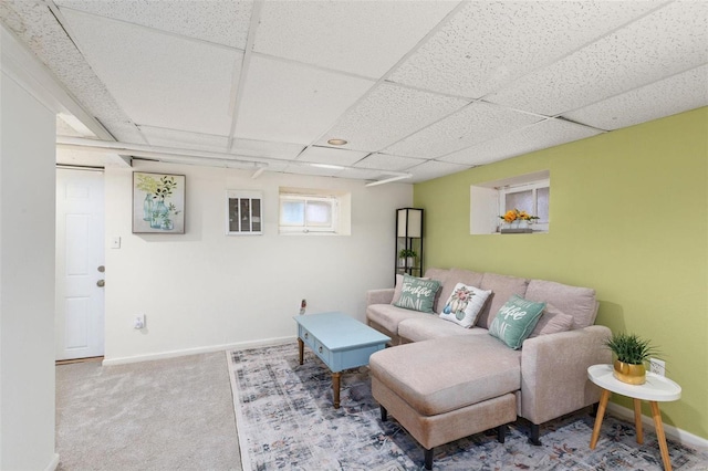 living room featuring a drop ceiling, baseboards, and carpet floors