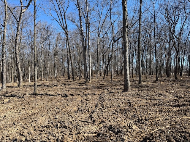 3004 Scott Rd, Moscow Mills MO, 63362 land for sale