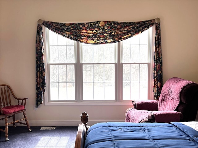 carpeted bedroom with multiple windows, visible vents, and baseboards