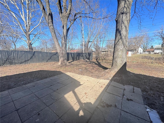 view of yard with a patio area and a fenced backyard