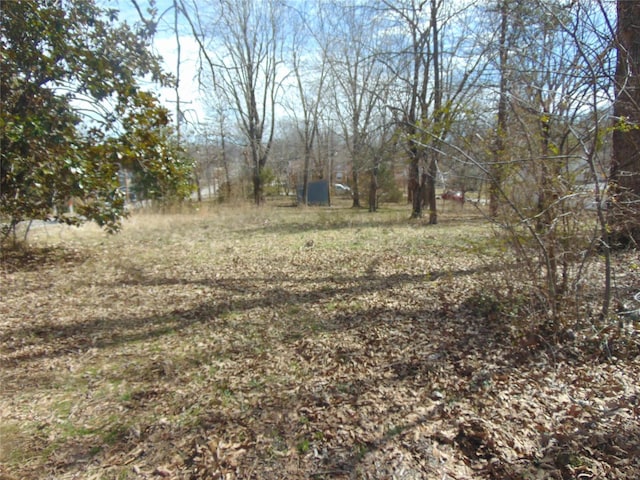 view of local wilderness