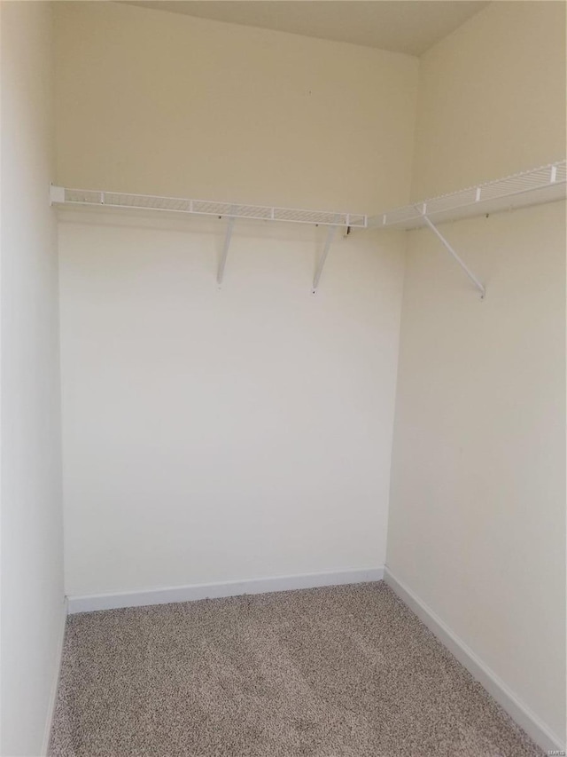 spacious closet with carpet floors