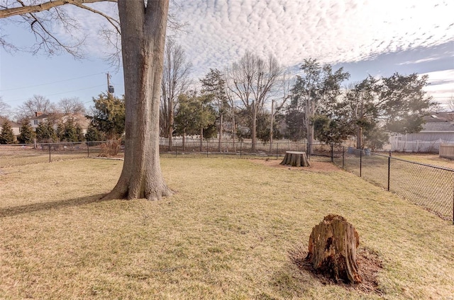 view of yard featuring a fenced backyard