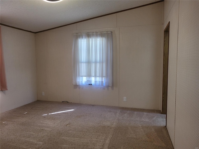 carpeted empty room with ornamental molding