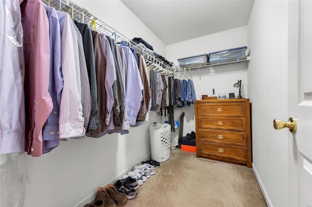 spacious closet with carpet flooring