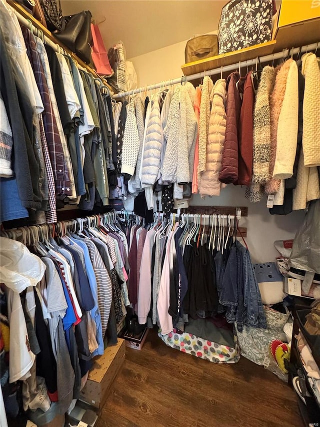 walk in closet with wood finished floors