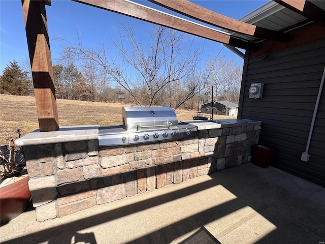 view of patio / terrace with grilling area and area for grilling