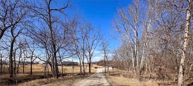 view of road