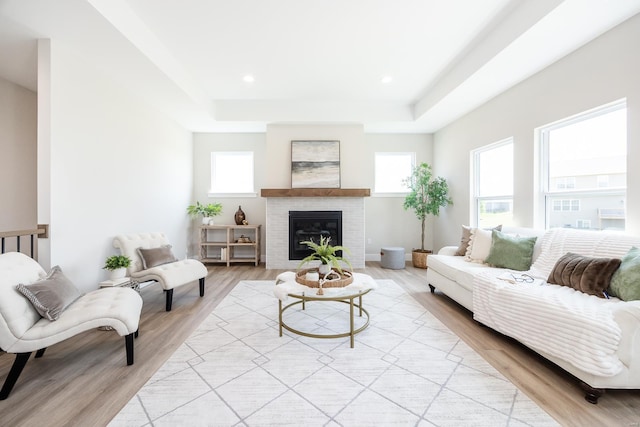 living area featuring plenty of natural light, a raised ceiling, and light wood-style flooring