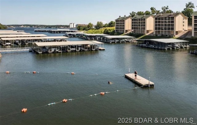 view of water feature with a dock