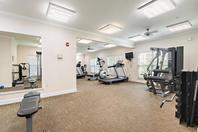 workout area featuring ceiling fan, carpet floors, ornamental molding, and baseboards