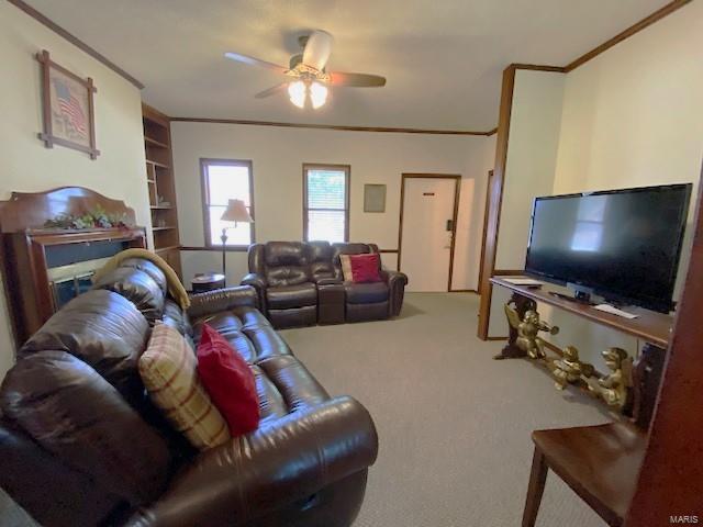 carpeted living area featuring ornamental molding and a ceiling fan