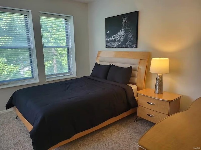 bedroom with multiple windows and carpet flooring