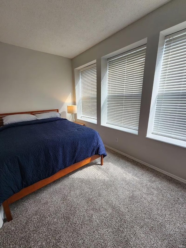 unfurnished bedroom with a textured ceiling, carpet floors, multiple windows, and baseboards