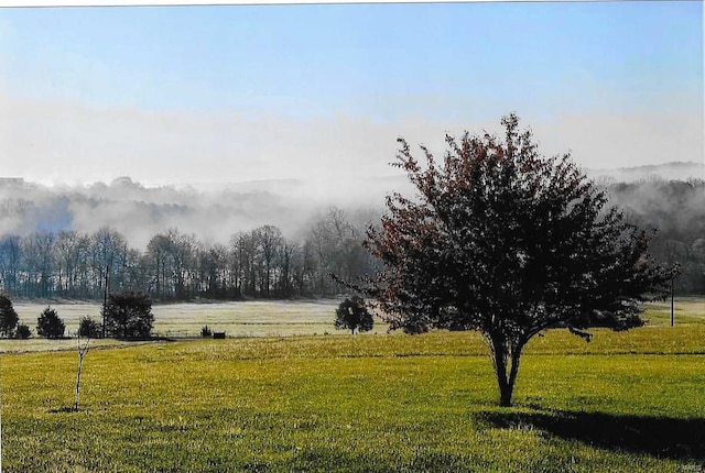 view of yard featuring a rural view