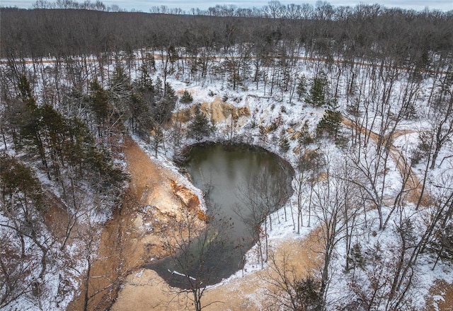 snowy aerial view with a wooded view