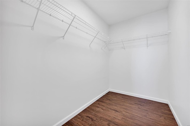 walk in closet with dark wood-style flooring