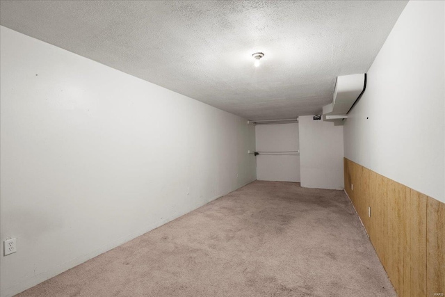 finished below grade area featuring light colored carpet, wood walls, wainscoting, and a textured ceiling