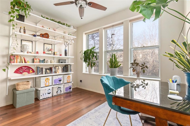 office space featuring a ceiling fan, baseboards, and wood finished floors