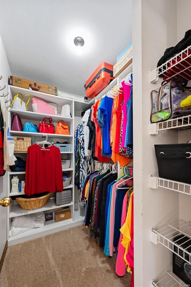 spacious closet with carpet floors