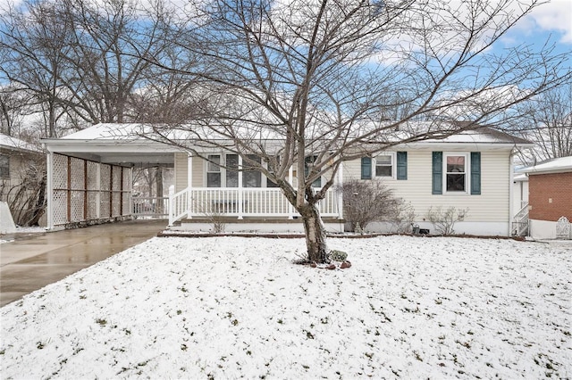 view of front of property featuring a carport and concrete driveway