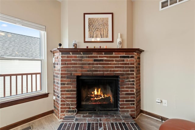 details featuring baseboards, wood finished floors, and a fireplace