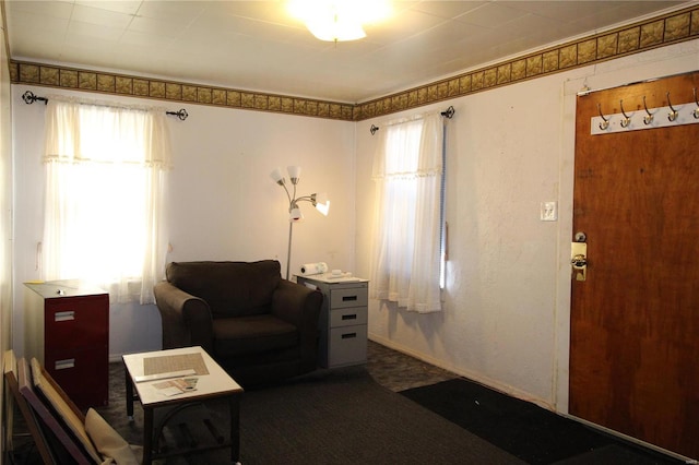 carpeted living area with plenty of natural light