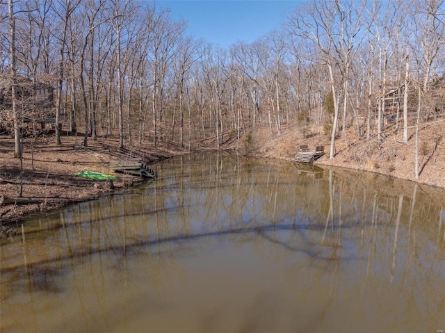 view of water feature featuring a wooded view