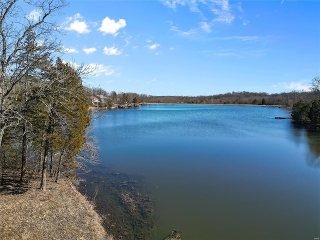 water view featuring a view of trees