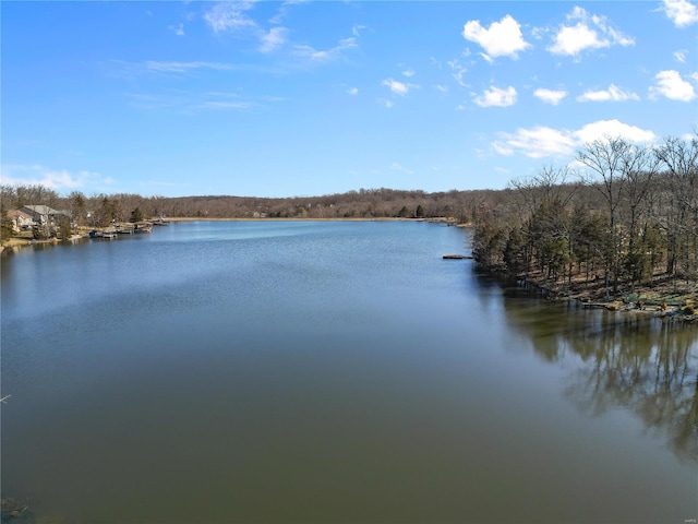 property view of water with a wooded view