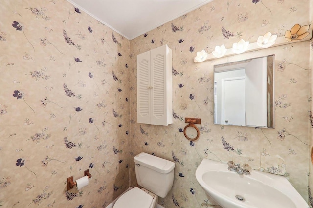 bathroom with a sink, toilet, and wallpapered walls