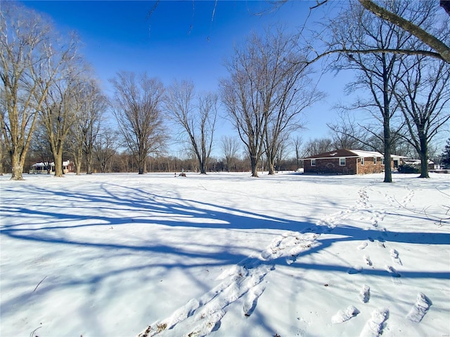 view of yard layered in snow