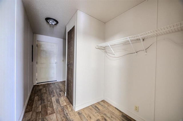 spacious closet featuring wood finished floors