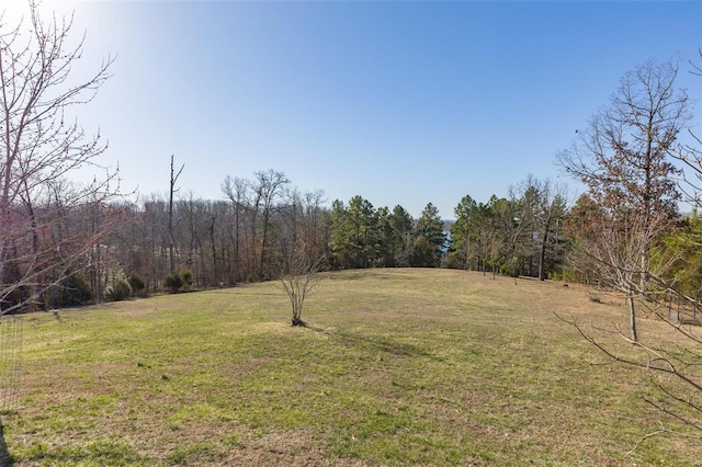 view of yard featuring a view of trees