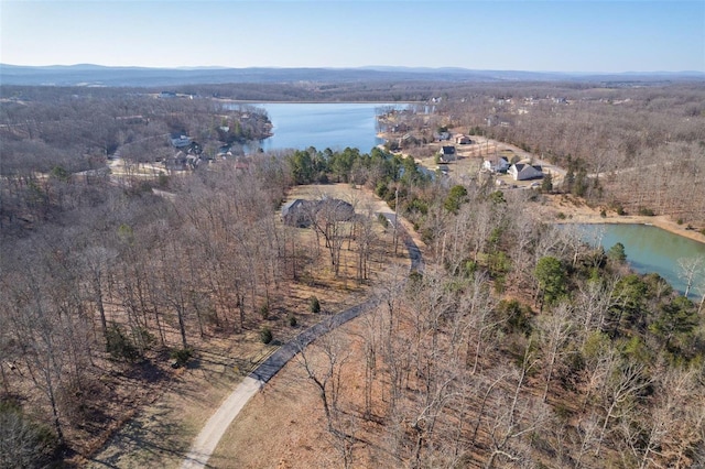 bird's eye view with a forest view and a water view